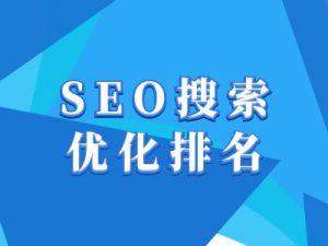 抖音搜索SEO教程，抖音SEO搜索优化排名-21资源库