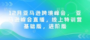 12月亚马逊跨境峰会， 亚马逊峰会直播，线上特训营基础版，进阶版-21资源库
