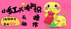小红书冷知识账号,无脑复制粘贴,5分钟即可变现3张-21资源库