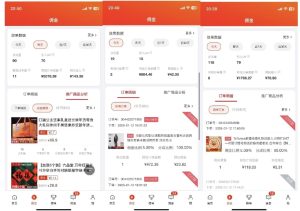 2025最新京东蓝海项目，0 门槛日入 1k+，小白宝妈轻松上手【揭秘】-21资源库