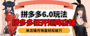 拼多多虚拟商品暴利6.0玩法，轻松实现月入过W-21资源库