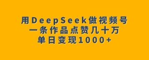 用DeepSeek做视频号,一条作品点赞几十万,单日变现1k-21资源库
