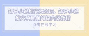 知乎小说推文怎么玩，知乎小说推文项目保姆级实战教程-21资源库