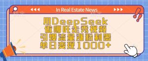 用DeepSeek做哪吒走秀视频,引爆流量涨粉利器,单日变现1k-21资源库