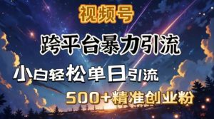 跨平台暴力引流,私域完美闭环,日引500+精准创业粉-21资源库