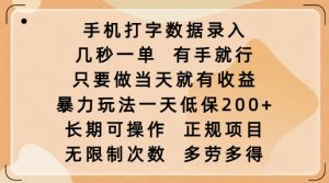 手机打字数据录入,几秒一单,有手就行,只要做当天就有收益,暴力玩法一天低保2张-21资源库