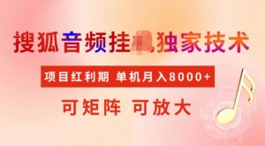 首发搜狐音频挂JI，项目红利期，可矩阵可放大，稳定月入5k【揭秘】-21资源库