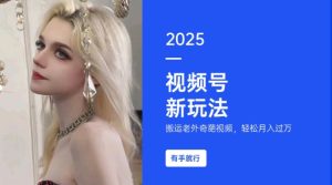 搬运老外奇葩视频,撸视频号分成计划收益,每天只需一小时,新手小白轻松月入过W-21资源库