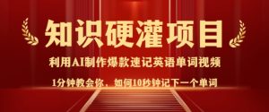 知识硬灌，10秒钟让你记住一个单词，3分钟一个视频，日入多张不是梦-21资源库