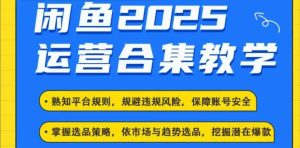 2025闲鱼电商运营全集，2025最新咸鱼玩法-21资源库