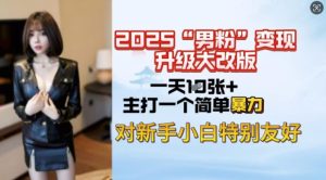 2025男粉变现全新玩法升级，日入上千简简单单，小白可轻松上手-21资源库