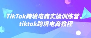 TikTok跨境电商实操训练营，tiktok跨境电商教程-21资源库