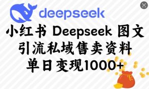 小红书Deepseek图文引流私域售卖资料,单日变现多张-21资源库