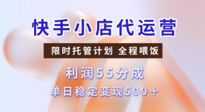快手小店代运营3.0,模式新升级,收益55分,稳定单日5张【揭秘】-21资源库