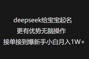 deepseek给宝宝起名更有优势无脑操作接单接到爆新手小白月入1W+-21资源库