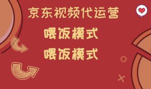 京东短视频代运营,喂饭模式,小白轻松上手【揭秘】-21资源库