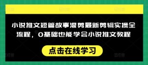 小说推文短篇故事混剪最新剪辑实操全流程，0基础也能学会小说推文教程，肯干多发日入多张-21资源库