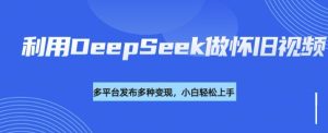 利用DeepSeek做怀旧视频,流量号多渠道变现能力强-21资源库