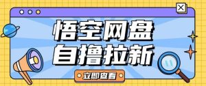 全网首发悟空网盘云真机自撸拉新项目玩法单机可挣10.20不等-21资源库