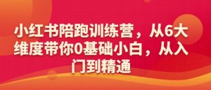 小红书陪跑训练营，从6大维度带你0基础小白，从入门到精通-21资源库