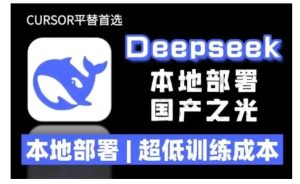 2025年deepseek R1 大型模型本地安装部署(文件+教程)本地部署,超低训练成本-21资源库