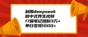 利用deepseek做中式养生视频,17篇笔记涨粉3万+,单日变现1k-21资源库