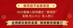 必看,做项目不如卖项目,2025普通人如何通过“卖项目”实现月入十个,年入百个-21资源库