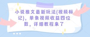 小说推文最新玩法(视频标记),单条视频收益四位数,详细教程来了-21资源库