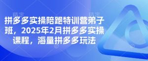 拼多多实操陪跑特训营弟子班,2025年2月拼多多实操课程,海量拼多多玩法-21资源库