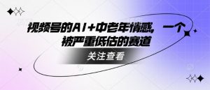 视频号的AI+中老年情感,一个被严重低估的赛道-21资源库