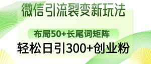 微信引流裂变新玩法:布局50+长尾词矩阵,轻松日引300+创业粉-21资源库