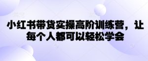 小红书带货实操高阶训练营,让每个人都可以轻松学会-21资源库