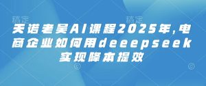 天诺老吴AI课程2025年，电商企业如何用deeepseek实现降本提效-21资源库