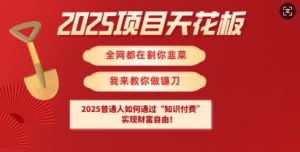2025项目天花板普通人如何通过知识付费,实现财F自由【揭秘】-21资源库