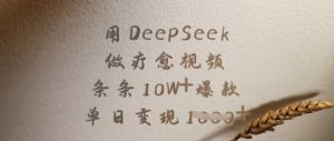 用DeepSeek做疗愈视频,条条10W+爆款,单日变现多张-21资源库