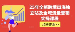 25年全新跨境出海独立站及全域流量营销实操课程，跨境电商独立站TIKTOK全域营销普货特货玩法大全-21资源库