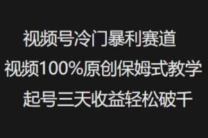 视频号冷门暴利赛道视频100%原创保姆式教学起号三天收益轻松破千-21资源库