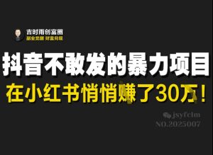 抖音不敢发的暴利项目,在小红书悄悄挣了30W-21资源库