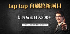 taptap拉新自刷项目,一个新用户14元,矩阵玩法日入300+-21资源库