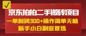 京东拍拍二手搬砖项目，一单纯利润3张，操作简单，小白兼职副业首选-21资源库