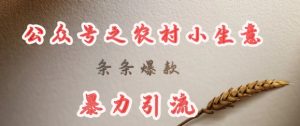 deepseek写农村小项目，条条爆款，暴力引流-21资源库