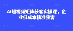 AI短视频矩阵获客实操课，企业低成本精准获客-21资源库