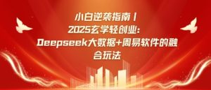 小白逆袭指南，2025玄学轻创业：Deepseek大数据+周易算法的融合玩法-21资源库