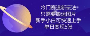 冷门赛道新玩法，只需要搬运图片，新手小白可快速上手，单日变现多张-21资源库