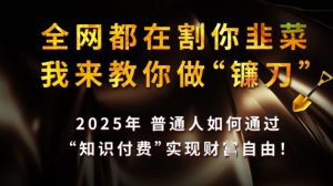 全网都在割你韭菜，我来教你做镰刀，2025普通人如何通过知识付费，实现财F自由【揭秘】-21资源库