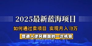 2025蓝海项目，普通人如何通过卖项目，实现月入过W，全过程【揭秘】-21资源库
