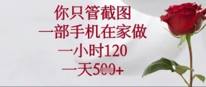 你只管截图，一部手机在家操作，一小时120.一天5张【揭秘】-21资源库