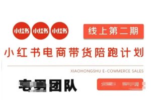 小红书电商带货课2期，月利润20个的小红书电商的有货源，无货源，虚拟产品，付费投流等整套玩法-21资源库