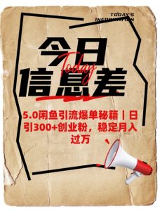 5.0闲鱼引流爆单秘籍，日引300+创业粉，稳定月入过W-21资源库