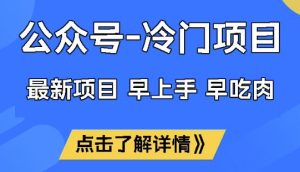 公众号冷门赛道，早上手早吃肉，单月轻松稳定变现1W【揭秘】-21资源库